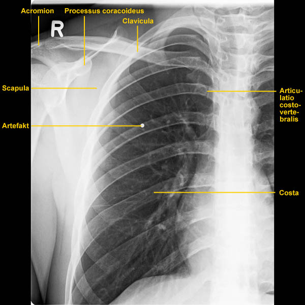 © Institut für Diagnostische, Interventionelle und Pädiatrische