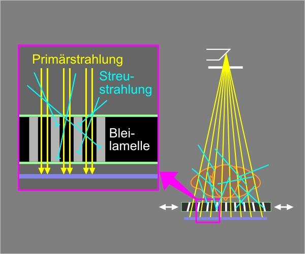 © Institut für Diagnostische, Interventionelle und Pädiatrische