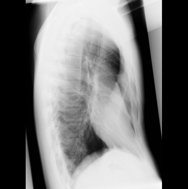 p img src stats iml unibe ch matomo php idsite 18 amp rec 1 style